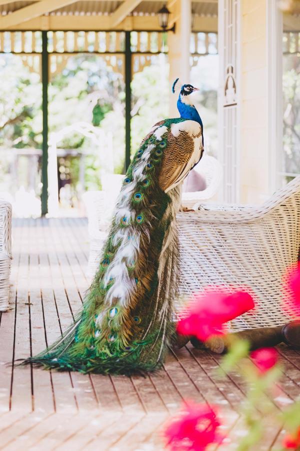 Dalblair Bed & Breakfast Seville Екстериор снимка